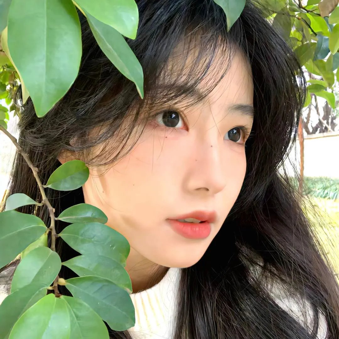 憨姑爷粤语